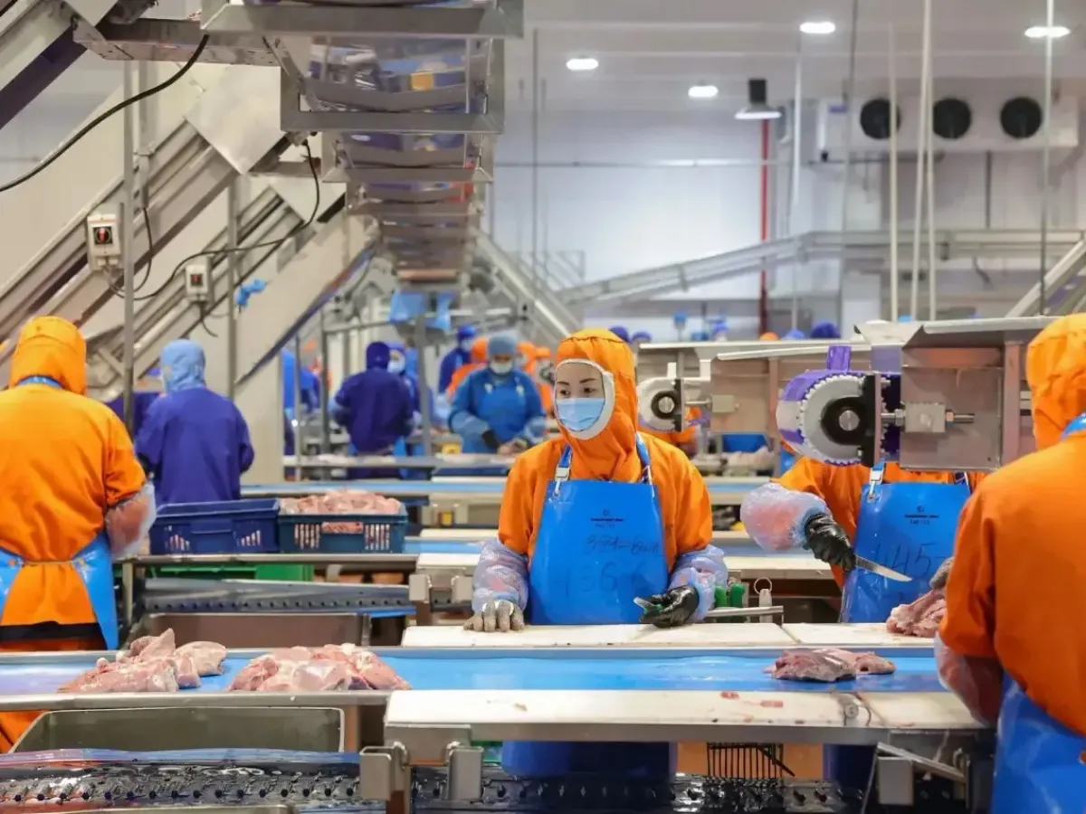 В Ростовской области поддержат проекты по переработке сельхозпродукции