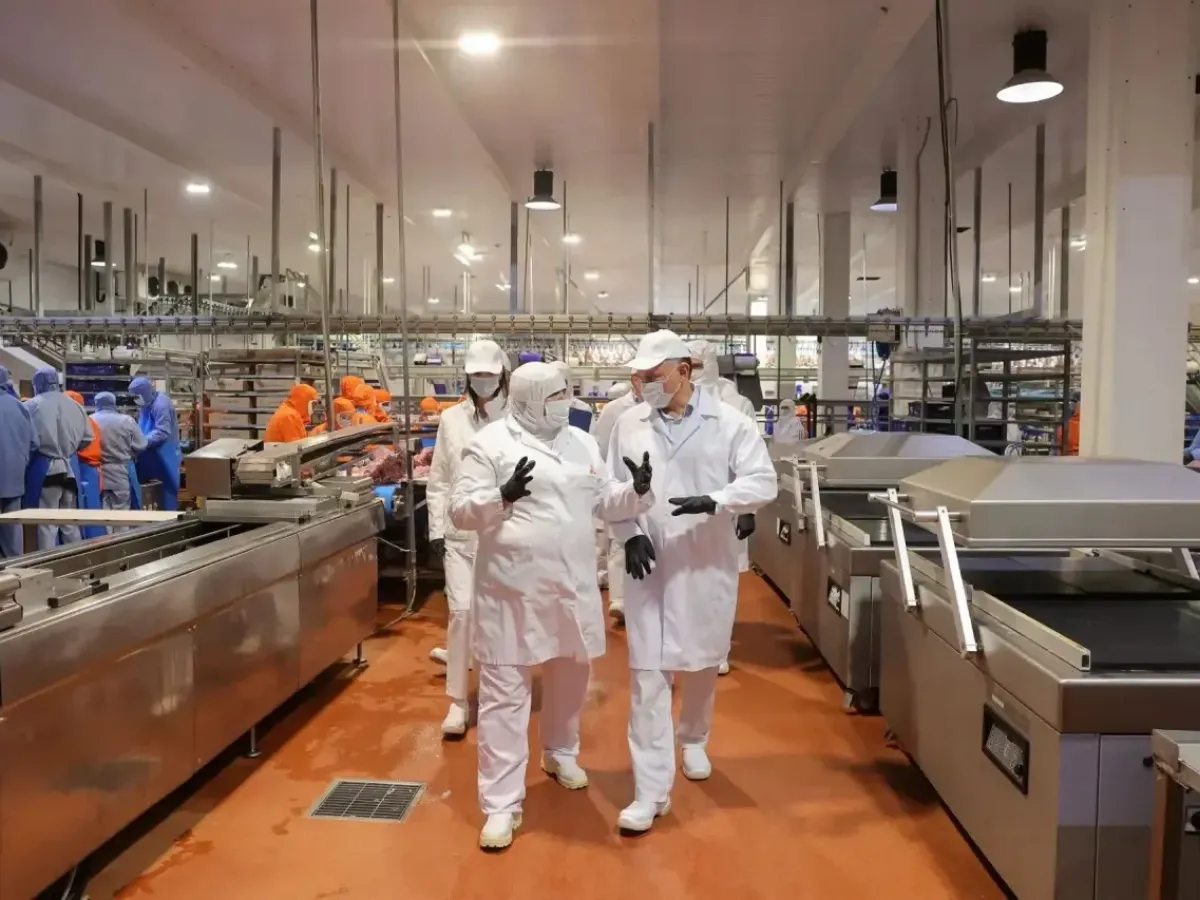 В Ростовской области поддержат проекты по переработке сельхозпродукции