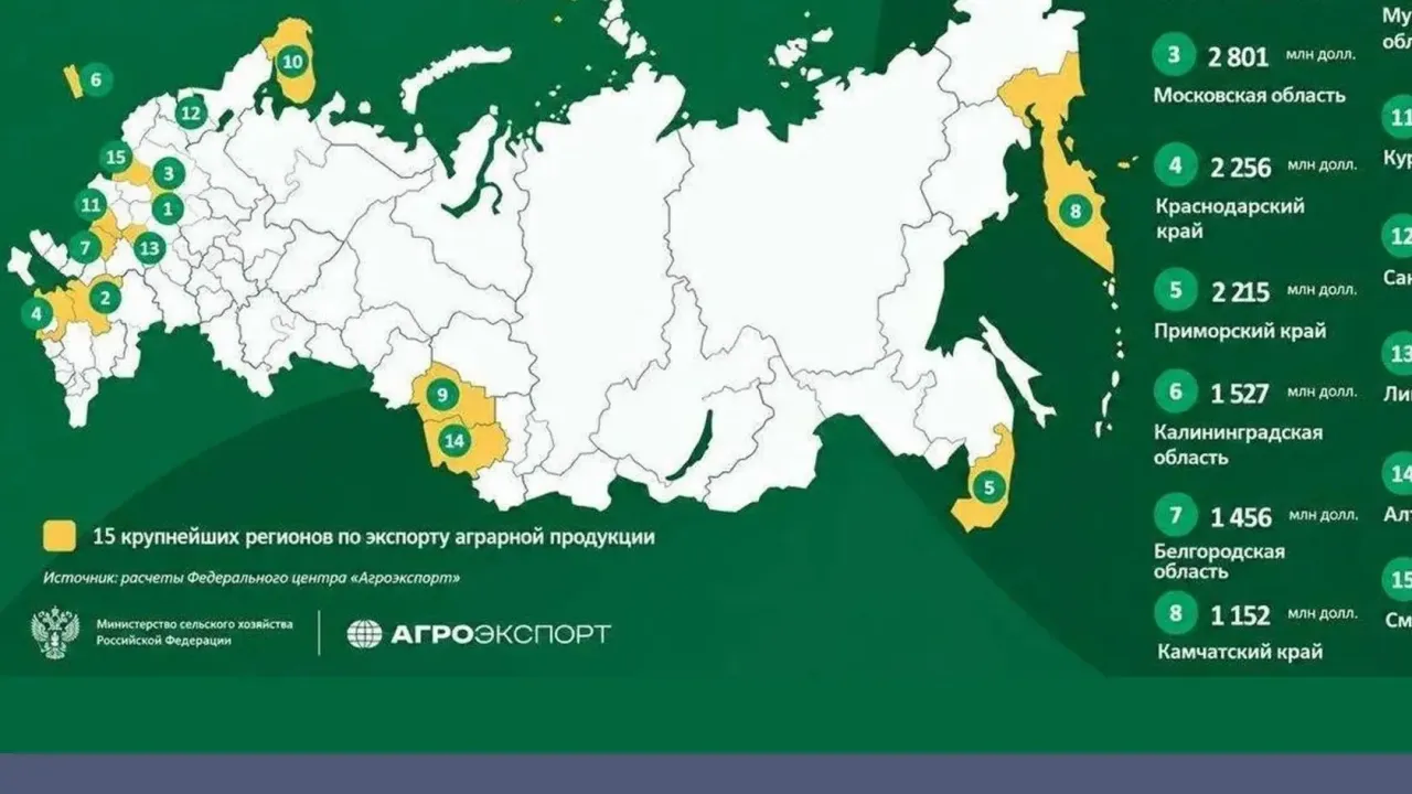 Ростовская область заняла второе место в рейтинге экспортного потенциала АПК — Ростов-на-Дону Сейчас