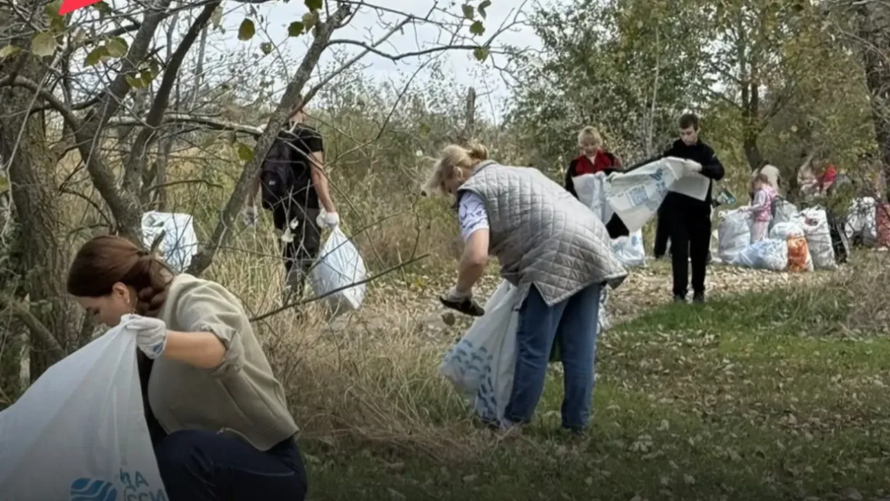 В Ростовской области на субботнике очистили 24 км береговой линии рек Дон и Северский Донец — Ростов-на-Дону Сейчас