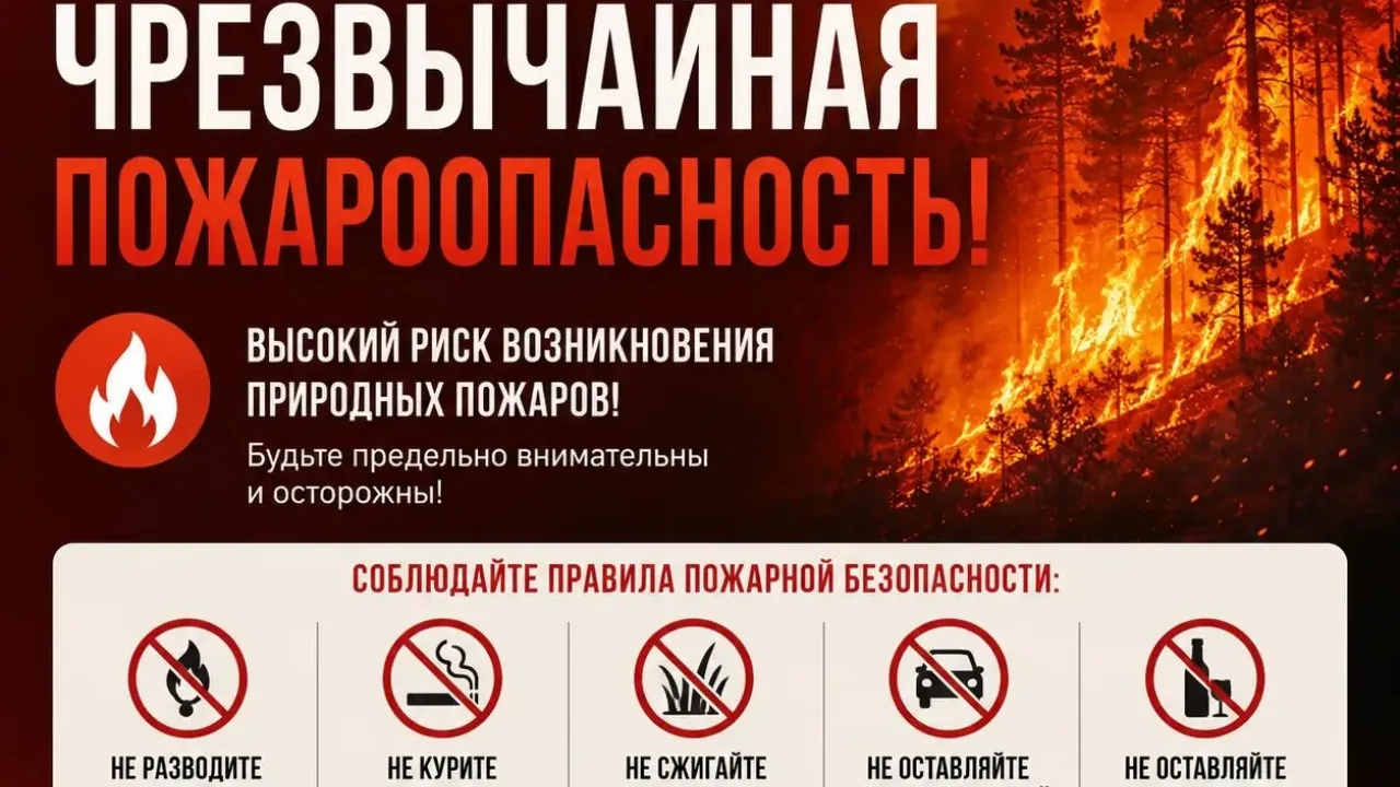 В Ростовской области объявили штормовое предупреждение из-за чрезвычайной пожароопасности — Ростов-на-Дону Сейчас