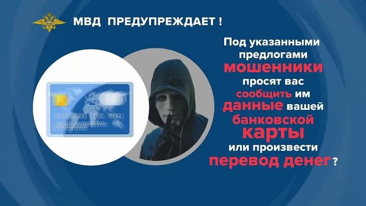 Рязанская полиция подвела итоги работы за неделю — Рязань Сейчас