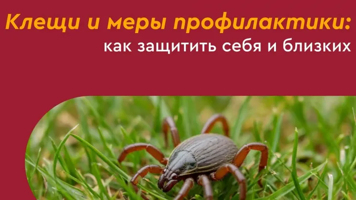 В Рязанской области за неделю от укусов клещей пострадали 33 человека — Рязань Сейчас