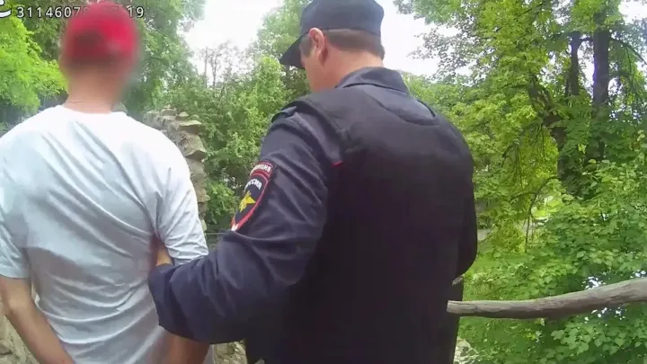 В Скопинском округе полицейские раскрыли кражу металлоискателя из частного дома — Рязань Сейчас