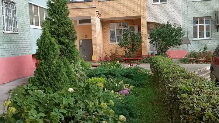 Во дворе дома на улице Есенина в Рязани отремонтировали асфальт после проверки Госжилинспекции — Рязань Сейчас