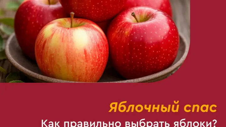 Памятка о правильном выборе яблок к Яблочному Спасу — Рязань Сейчас
