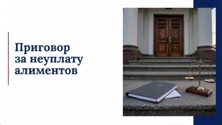 В Рязани 42-летнего мужчину осудили за долг по алиментам свыше 1,3 млн рублей — Рязань Сейчас