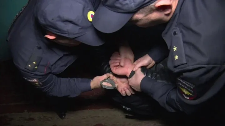 В Рязанском округе полицейские нашли подозреваемого в грабеже и серии краж — Рязань Сейчас