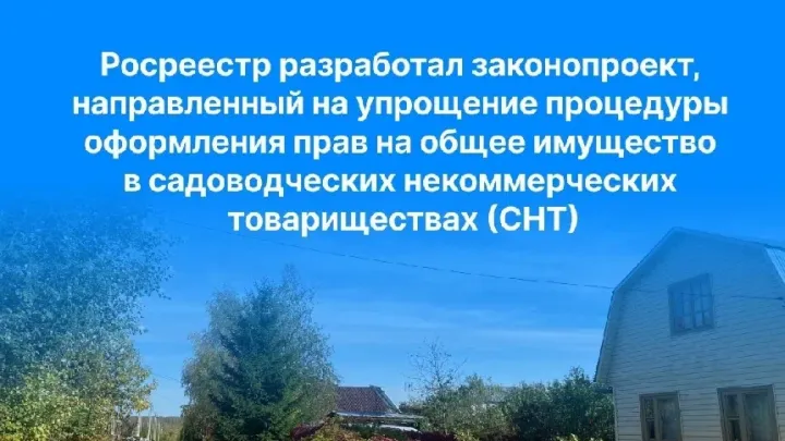 Росреестр предложил упростить оформление общего имущества в СНТ — Рязань Сейчас