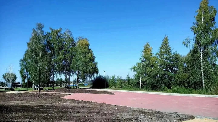 В Новомичуринске создают новый парк-берег на набережной реки Прони — Рязань Сейчас