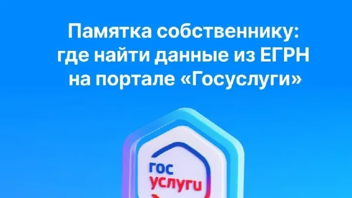 Росреестр предложил упростить обновление сведений о площади объектов в ЕГРН — Рязань Сейчас