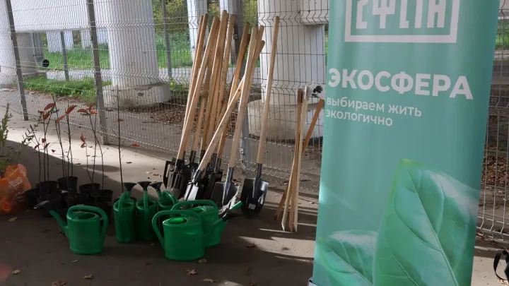 В Рязани в рамках месячника озеленения высадили 20 саженцев черёмухи — Рязань Сейчас
