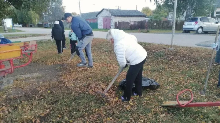 На территориях ТОС в Рязани проходят субботники и высадка саженцев — Рязань Сейчас