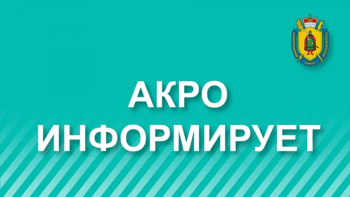 Антикоррупционный комитет проверил контракты на ремонт мостов в двух округах — Рязань Сейчас