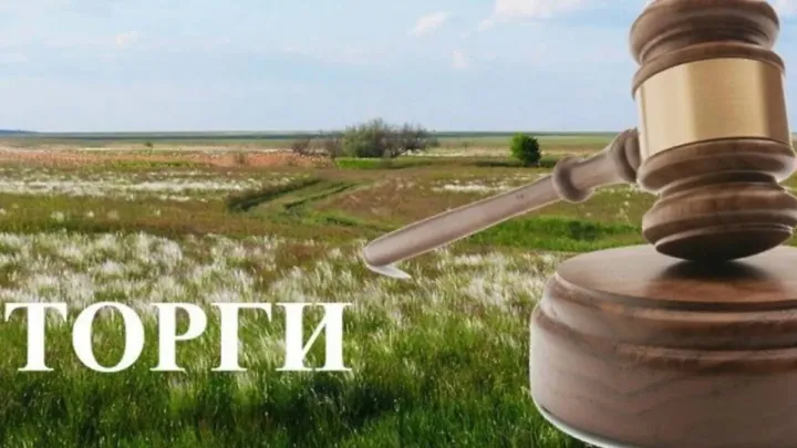 Минимущество проведет аукцион по продаже сельхозучастка в Путятинском районе — Рязань Сейчас