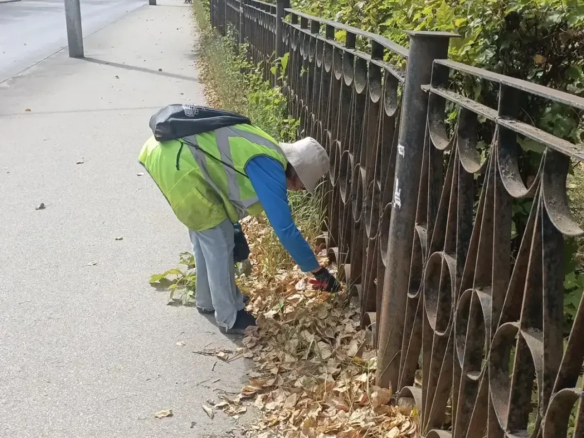 В парках и скверах Рязани провели работы по благоустройству