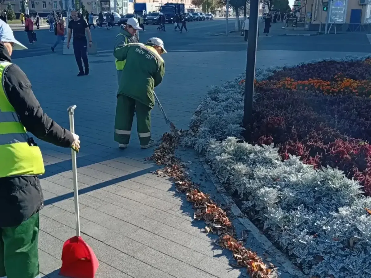 В Рязани 17 сентября провели работы по благоустройству парков и скверов