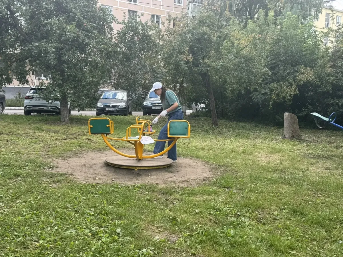Молодежный совет Рязани привел в порядок зеленую зону в Советском районе