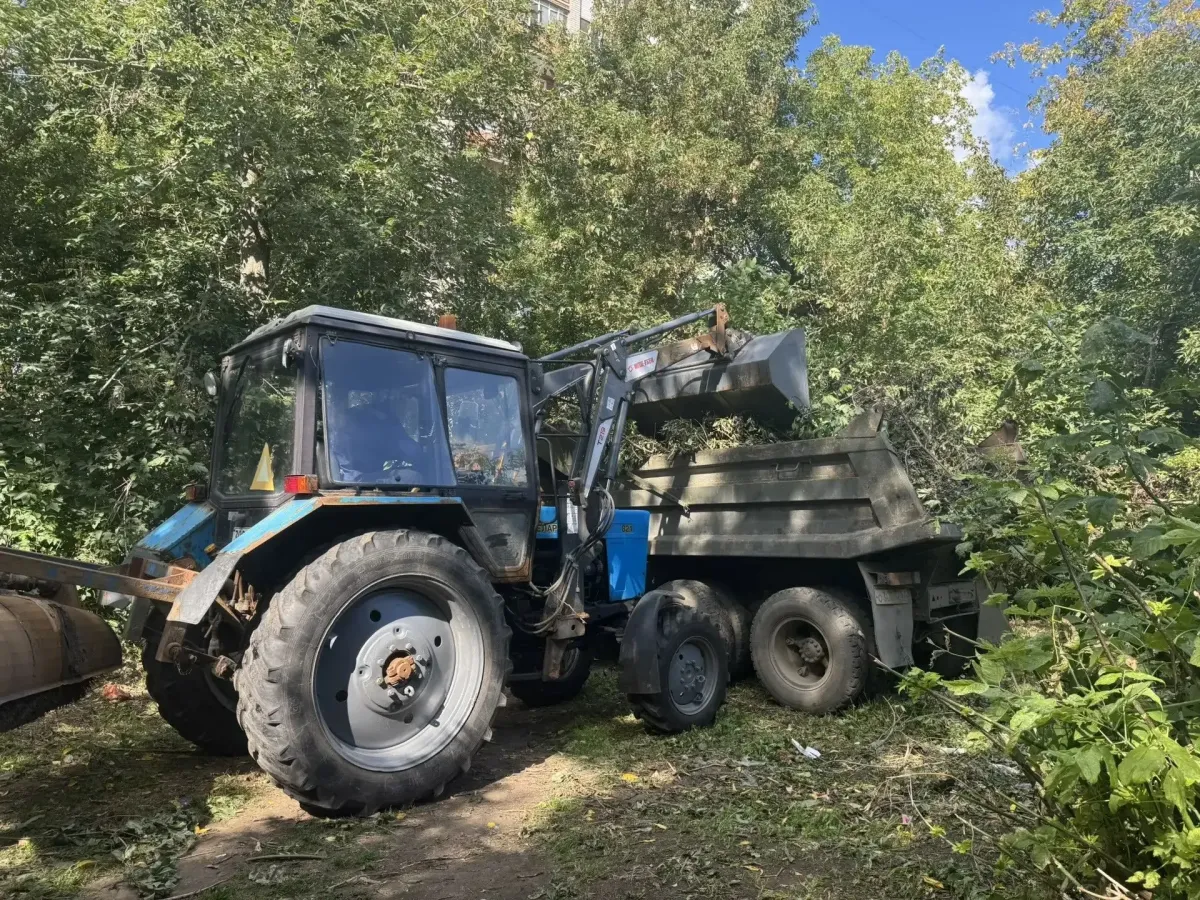 Молодежный совет Рязани привел в порядок зеленую зону в Советском районе