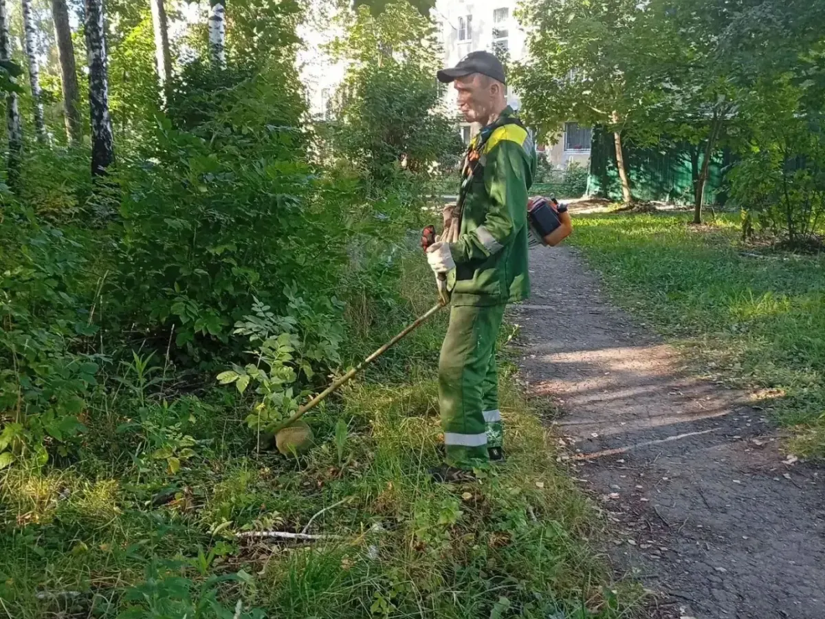В Рязани сообщили об итогах благоустройства парков и скверов за 10 сентября