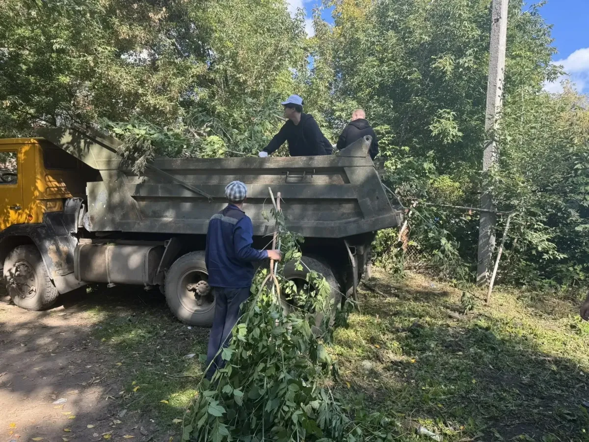 Молодежный совет Рязани привел в порядок зеленую зону в Советском районе