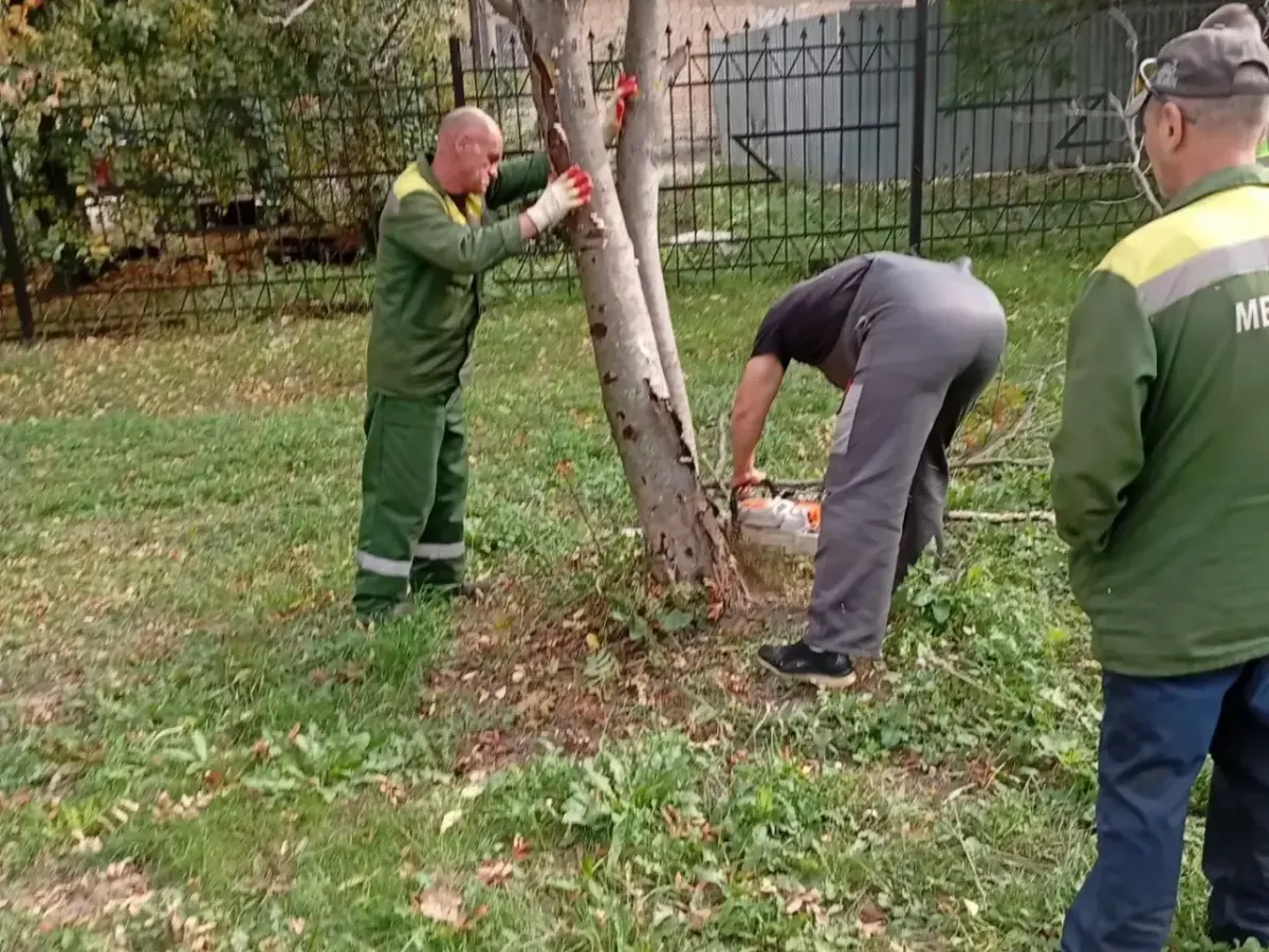 В Рязани 24 сентября провели покос травы и уборку в парках и скверах