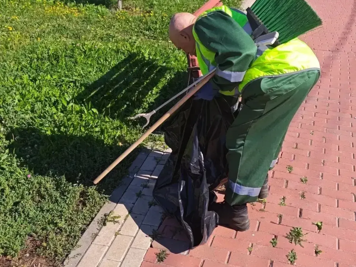 В Рязани сообщили об итогах благоустройства парков и скверов за 10 сентября