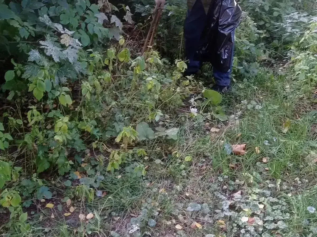 В Рязани 16 сентября провели покос травы и уборку в парках и скверах