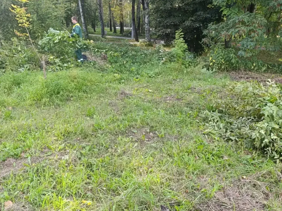В Рязани 16 сентября провели покос травы и уборку в парках и скверах