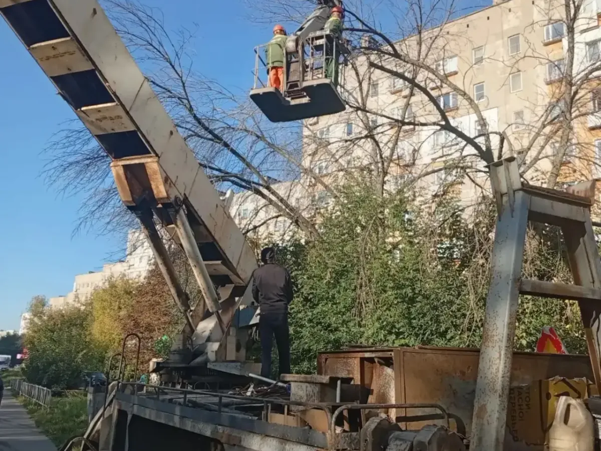 В Рязани 17 сентября провели работы по благоустройству парков и скверов
