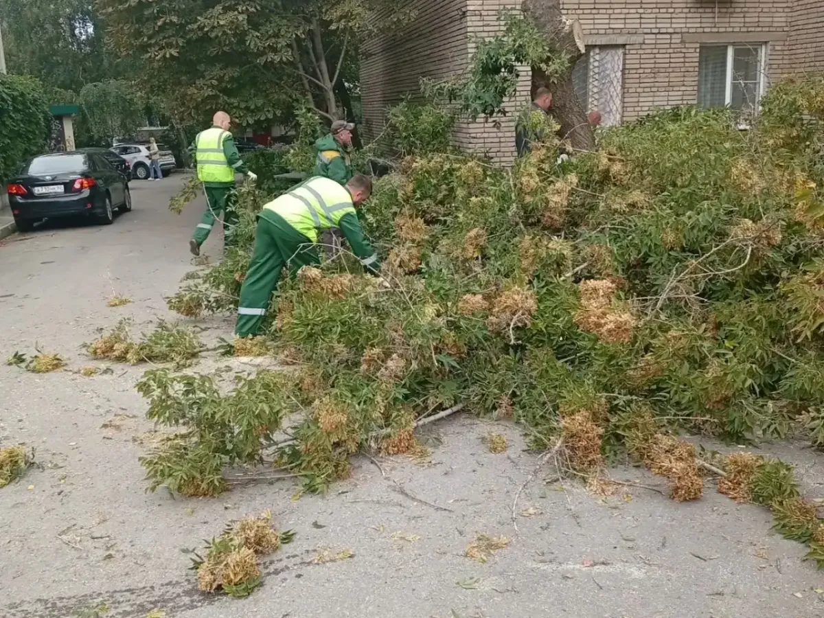 В Рязани 16 сентября провели покос травы и уборку в парках и скверах