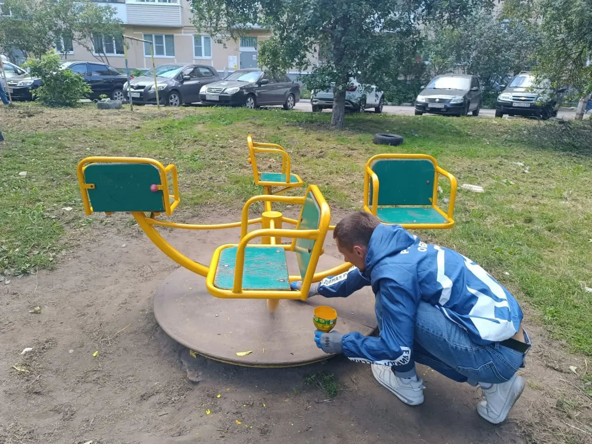 Молодежный совет Рязани привел в порядок зеленую зону в Советском районе