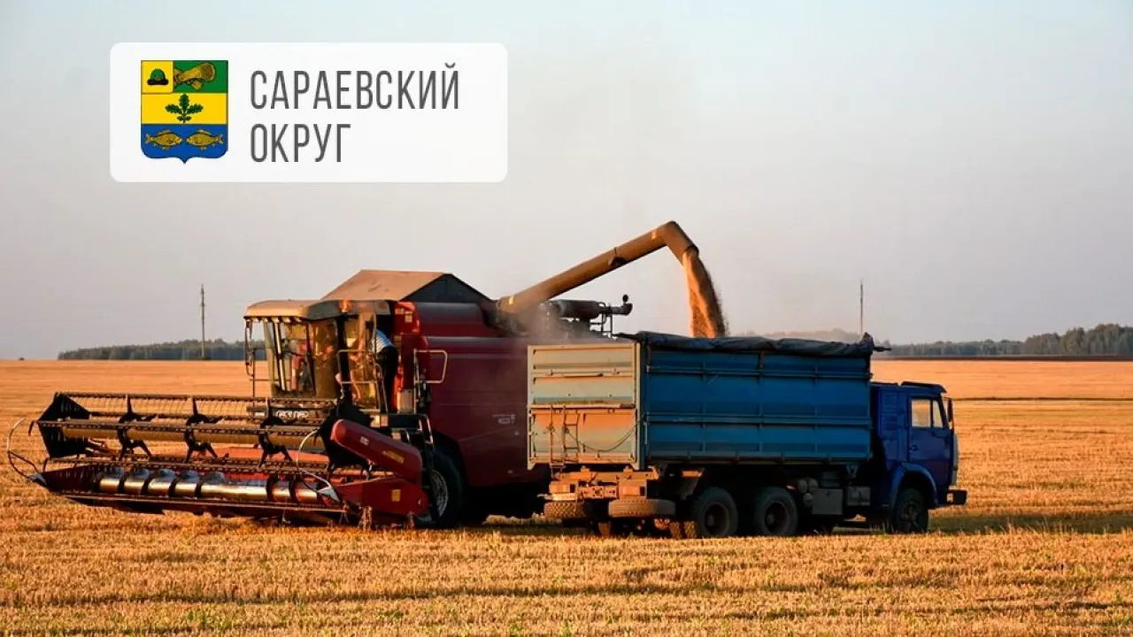 Аграрии Сараевского округа намолотили 200 тысяч тонн зерна — Рязань Сейчас