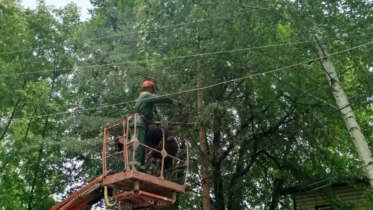 В рязанских парках и скверах провели работы по благоустройству — Рязань Сейчас