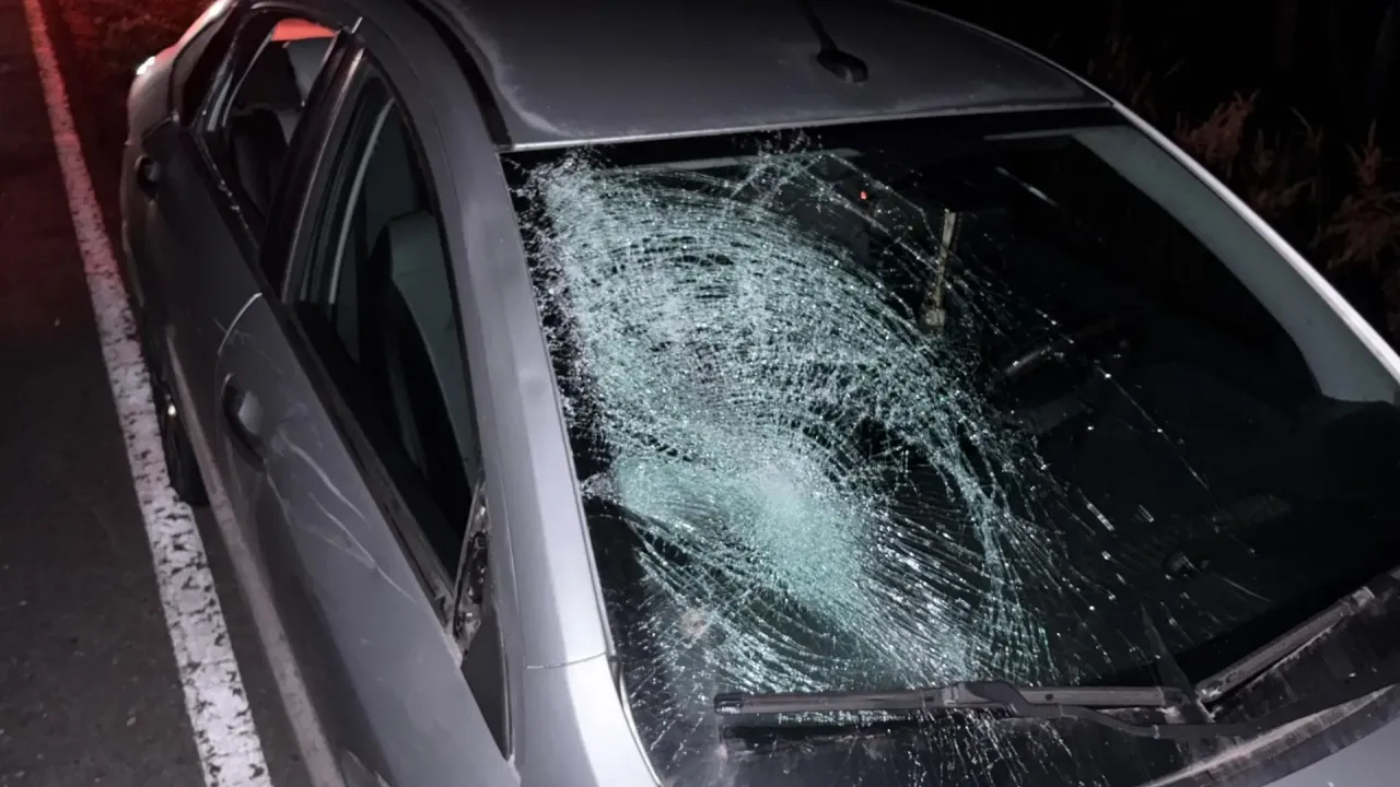 В Рязанской области за пятницу и выходные в ДТП погибли и пострадали люди — Рязань Сейчас