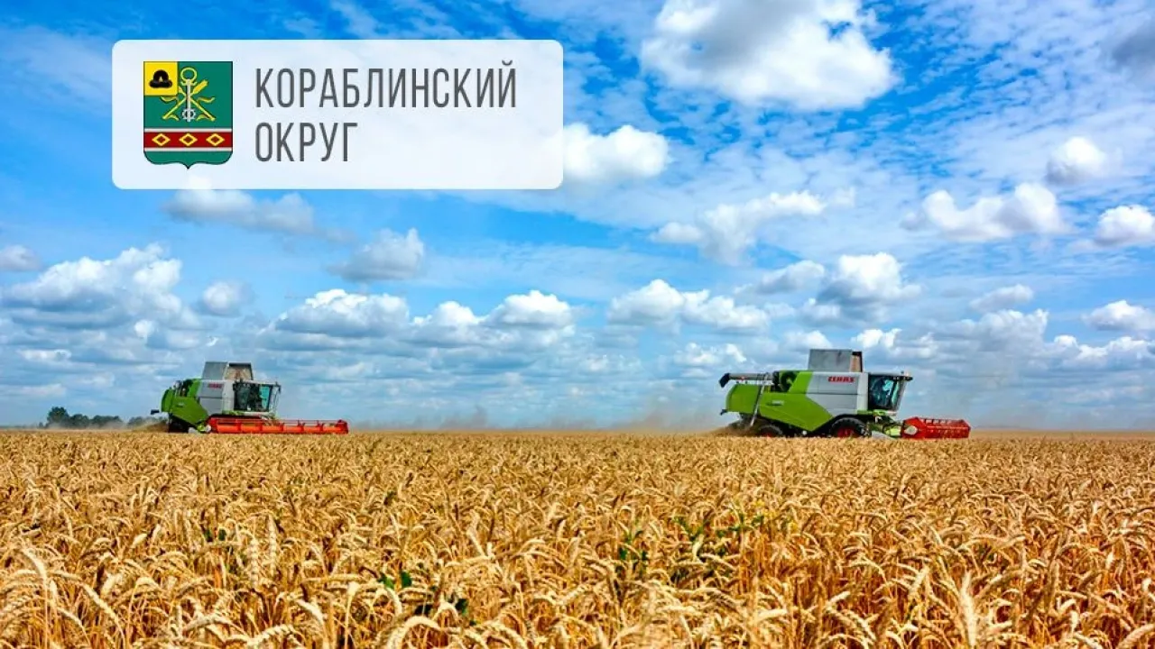 Аграрии Кораблинского округа намолотили более 100 тысяч тонн зерна — Рязань Сейчас