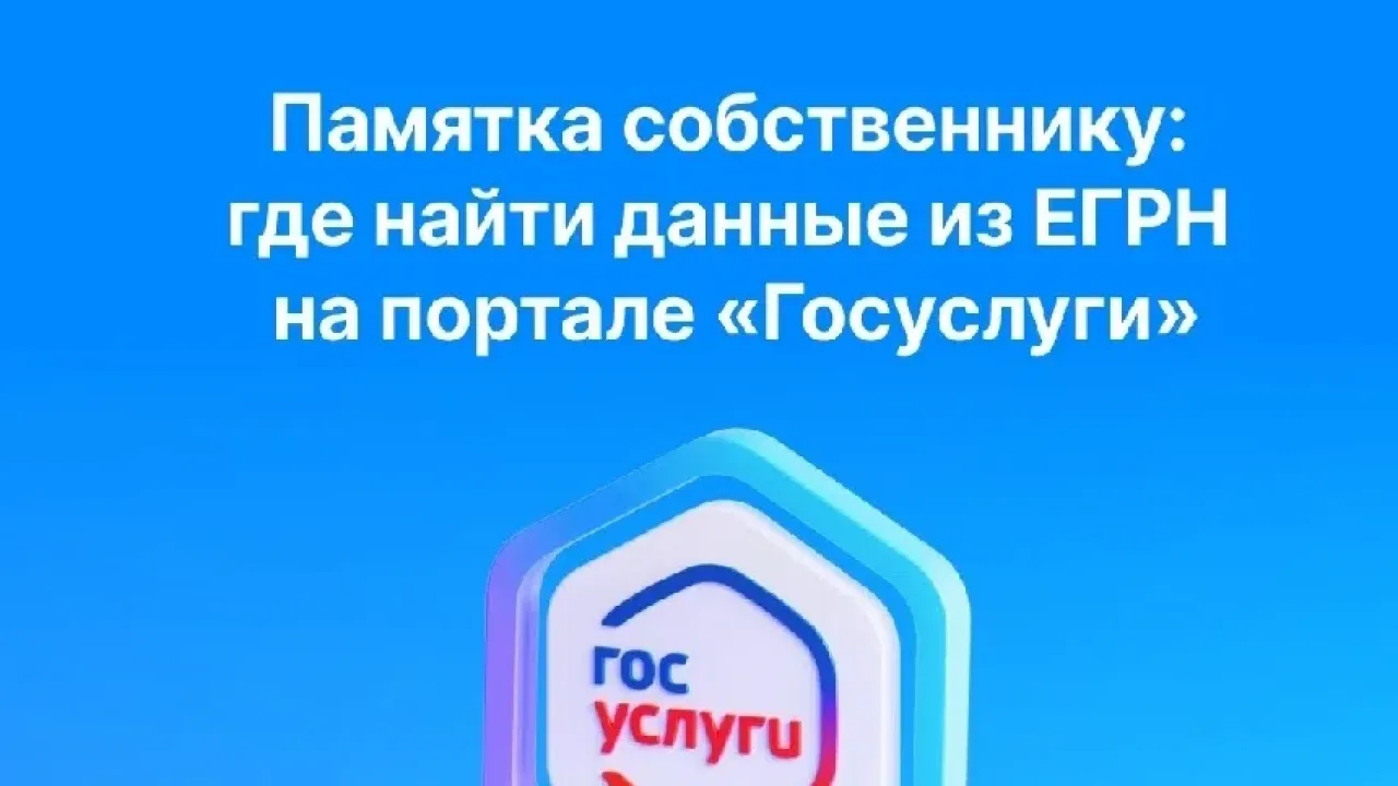 Росреестр предложил упростить обновление сведений о площади объектов в ЕГРН — Рязань Сейчас