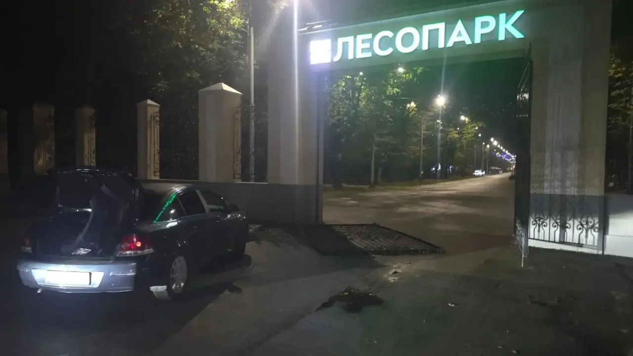 В Лесопарке Рязани устранили последствия акта вандализма — Рязань Сейчас