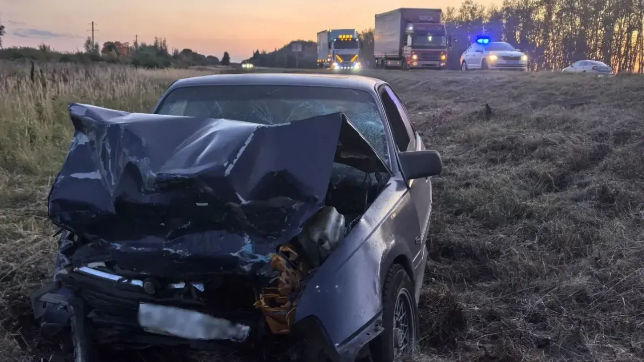 В Рязанской области за выходные в ДТП погиб человек и пострадали 30 — Рязань Сейчас
