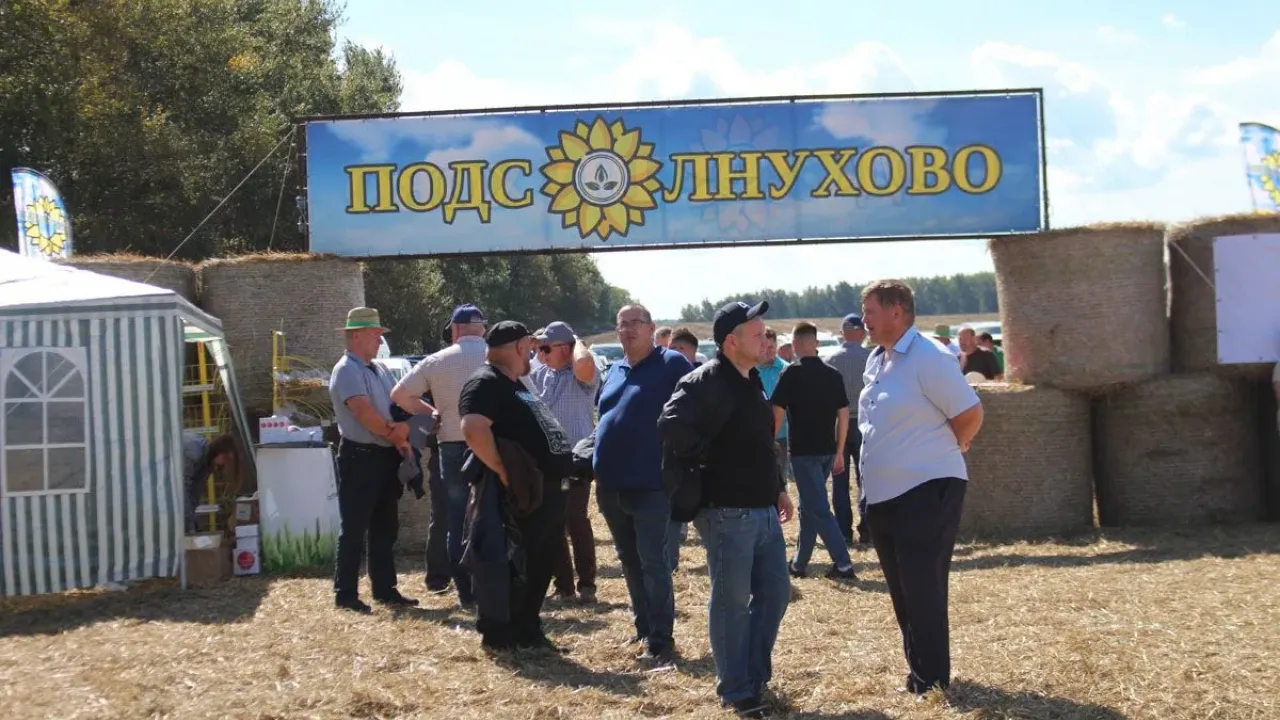 В Сараевском округе состоялась VI выставка-семинар «Подсолнухово» — Рязань Сейчас