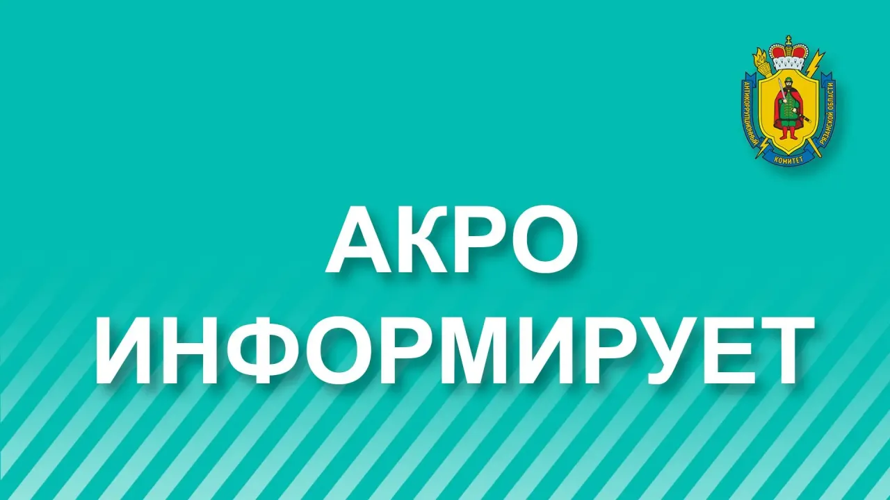 Антикоррупционный комитет проверил контракты на ремонт мостов в двух округах — Рязань Сейчас