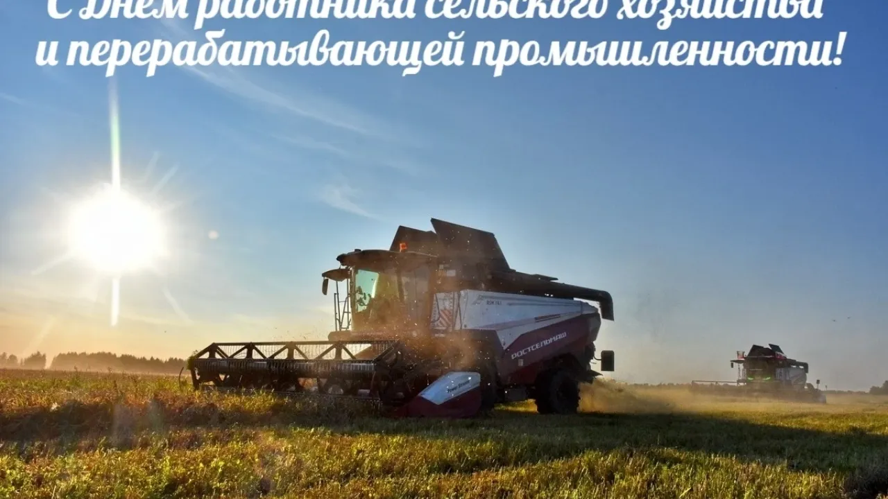 Министр сельского хозяйства поздравил работников отрасли с профессиональным праздником — Рязань Сейчас