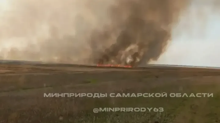 В Самарской области локализованы два возгорания у Безенчукского лесничества — Самара Сейчас