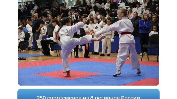 В Самаре прошел Всероссийский турнир по шотокан каратэ «Кубок Союза народов» — Самара Сейчас