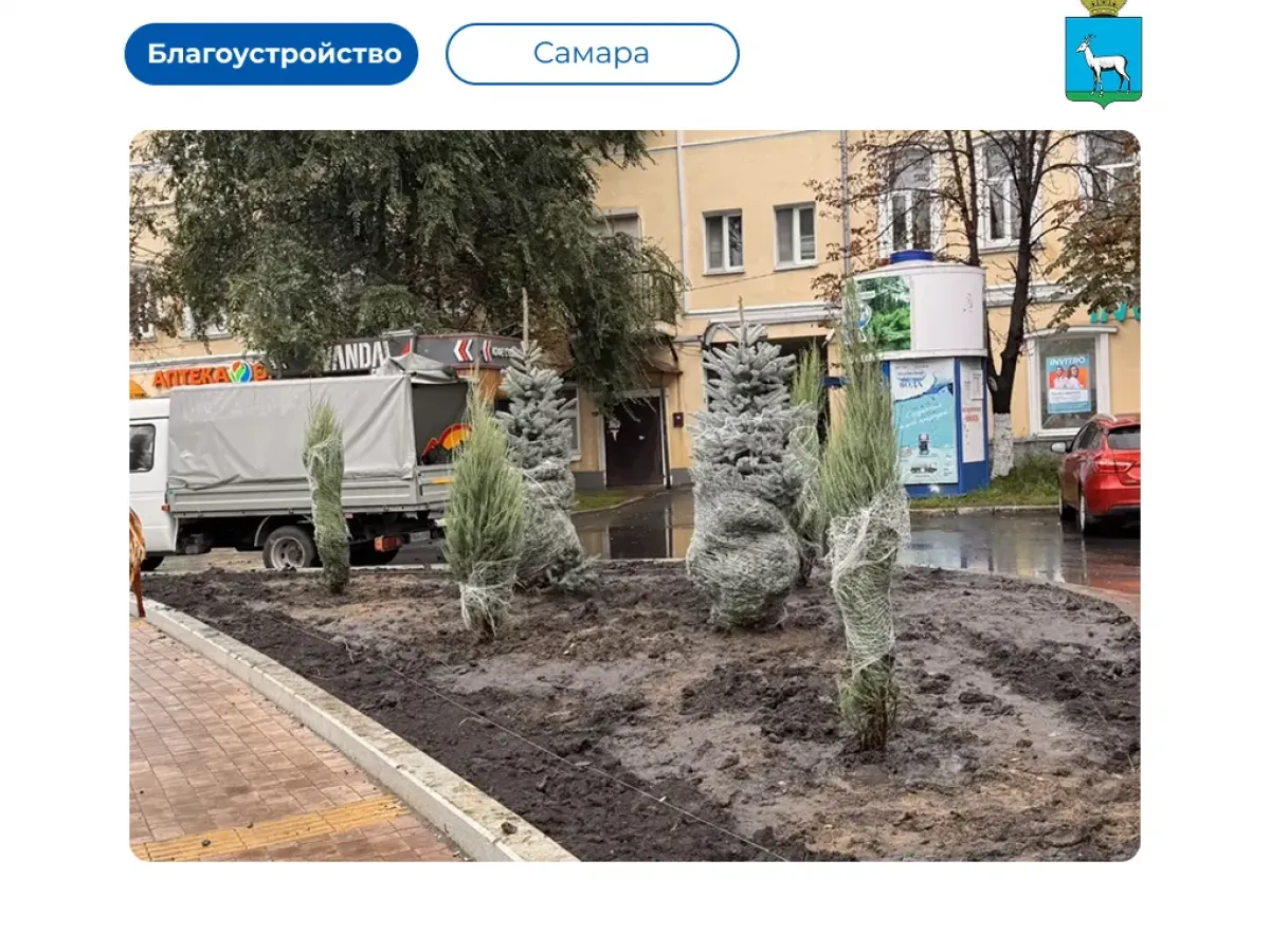 На площади Революции в Самаре начали создавать декоративные цветочные клумбы