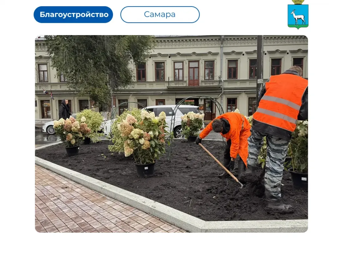 На площади Революции в Самаре начали создавать декоративные цветочные клумбы