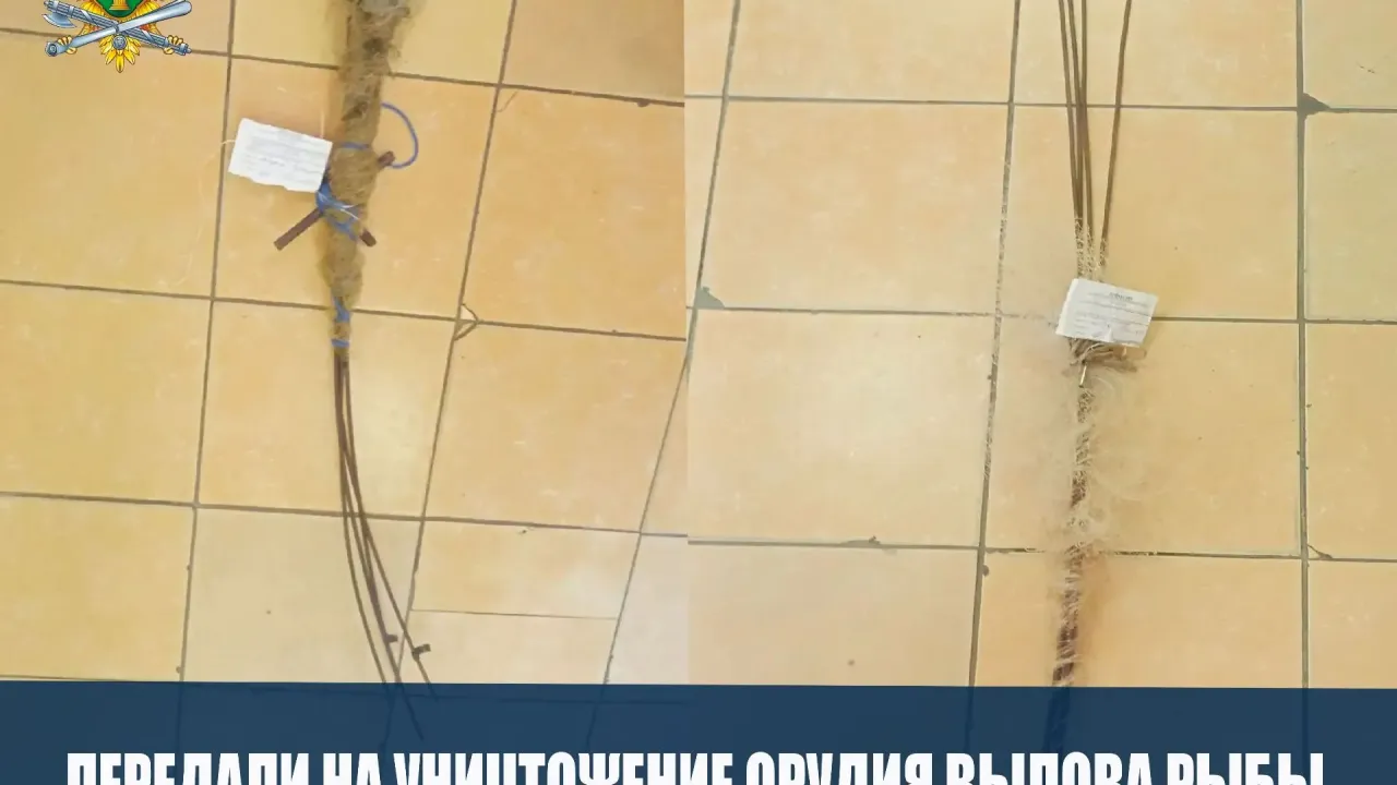 В Тольятти у двух нарушителей конфисковали запрещенные орудия ловли