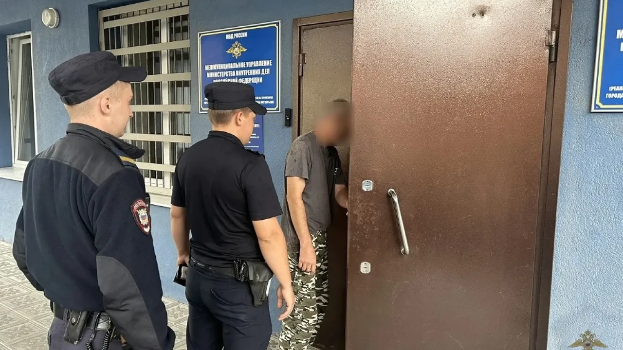 В Сызранском районе задержан обвиняемый в пяти хищениях местный житель — Самара Сейчас
