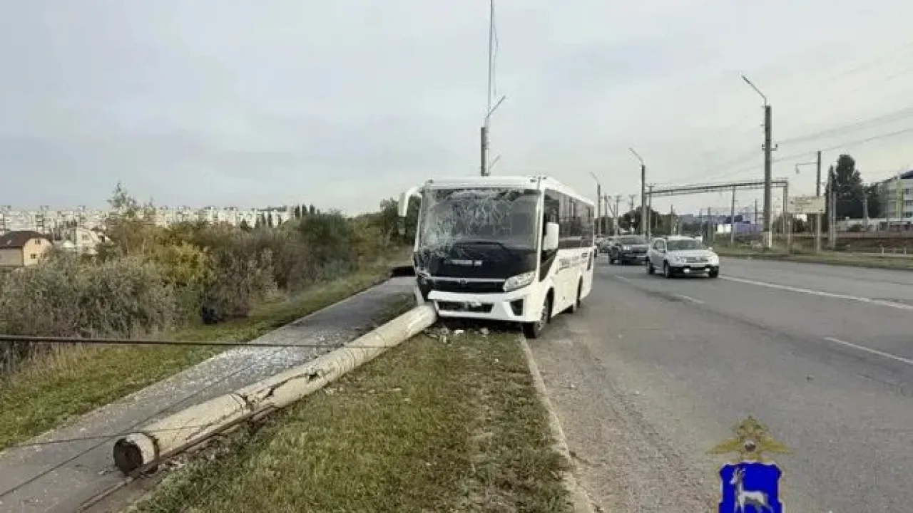 В Сызрани автобус ПАЗ врезался в световую опору, пострадавших нет — Самара Сейчас