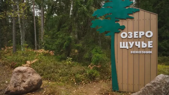 В заказнике «Озеро Щучье» открыли петербургский участок экотропы «Озерная тропа»